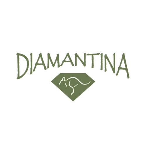 diamantina logo