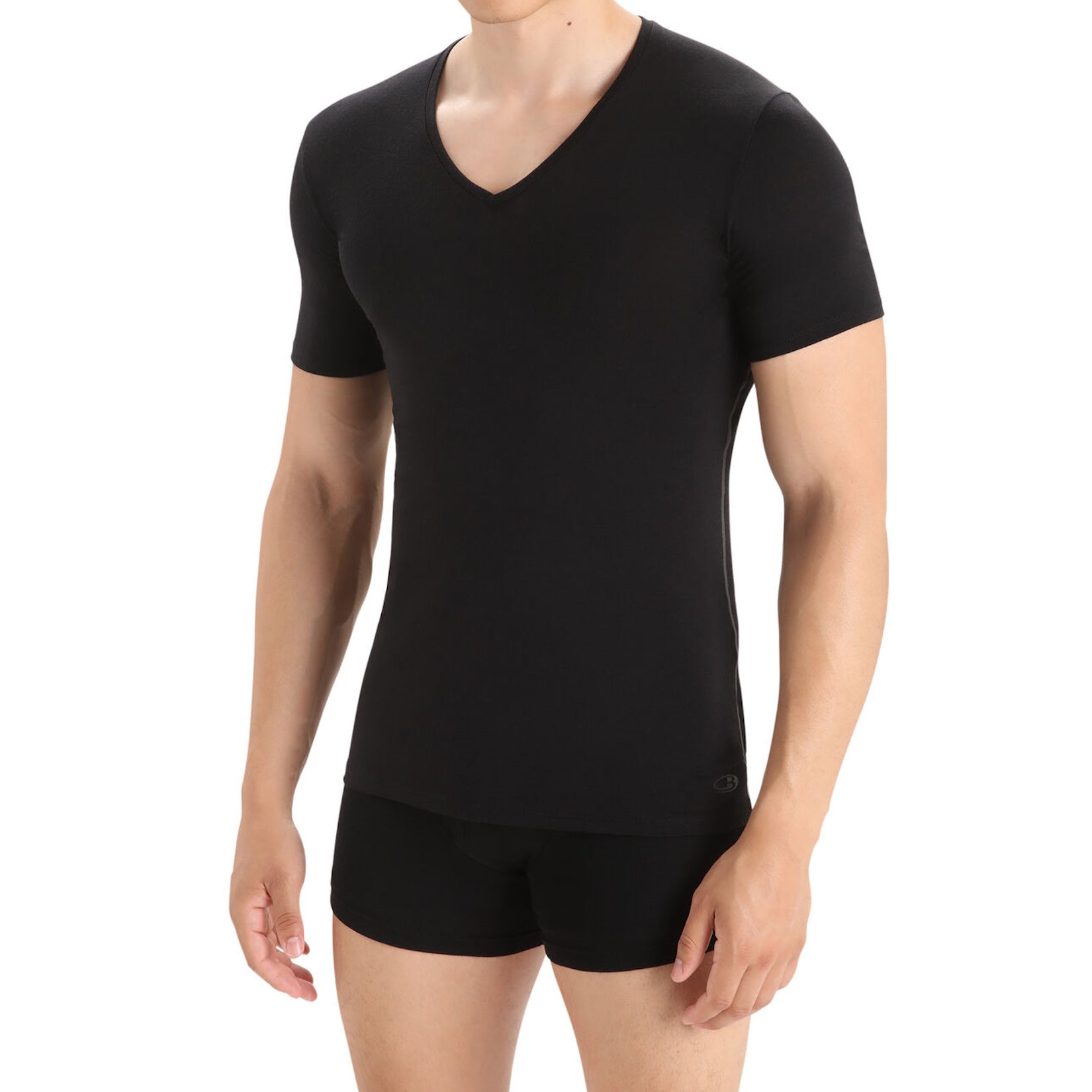 Icebreaker Mens Anatomica Short Sleeve V-Neck in Black