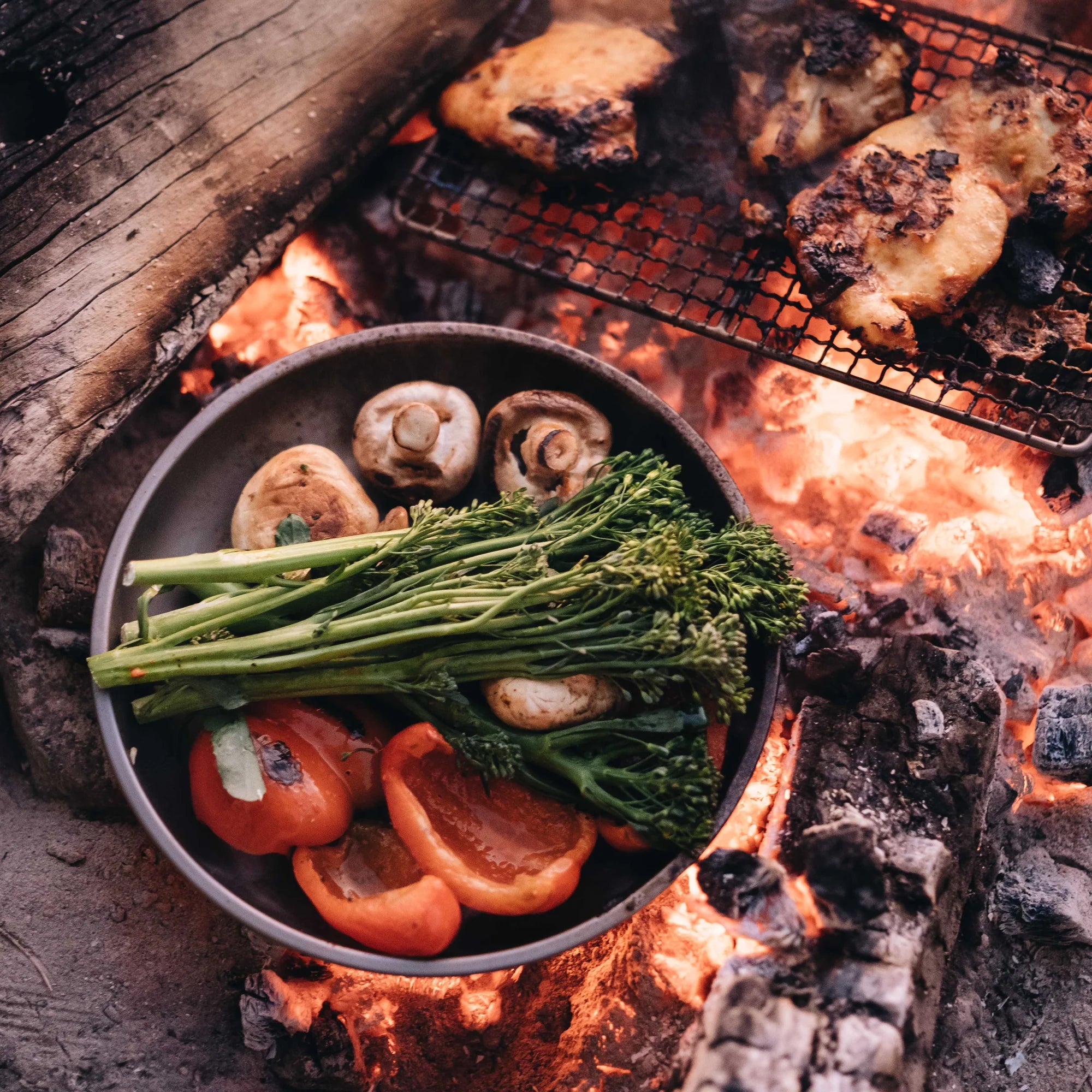 Alton Goods Ultralight Titanium Plate with veggies being used as a frypan over flames