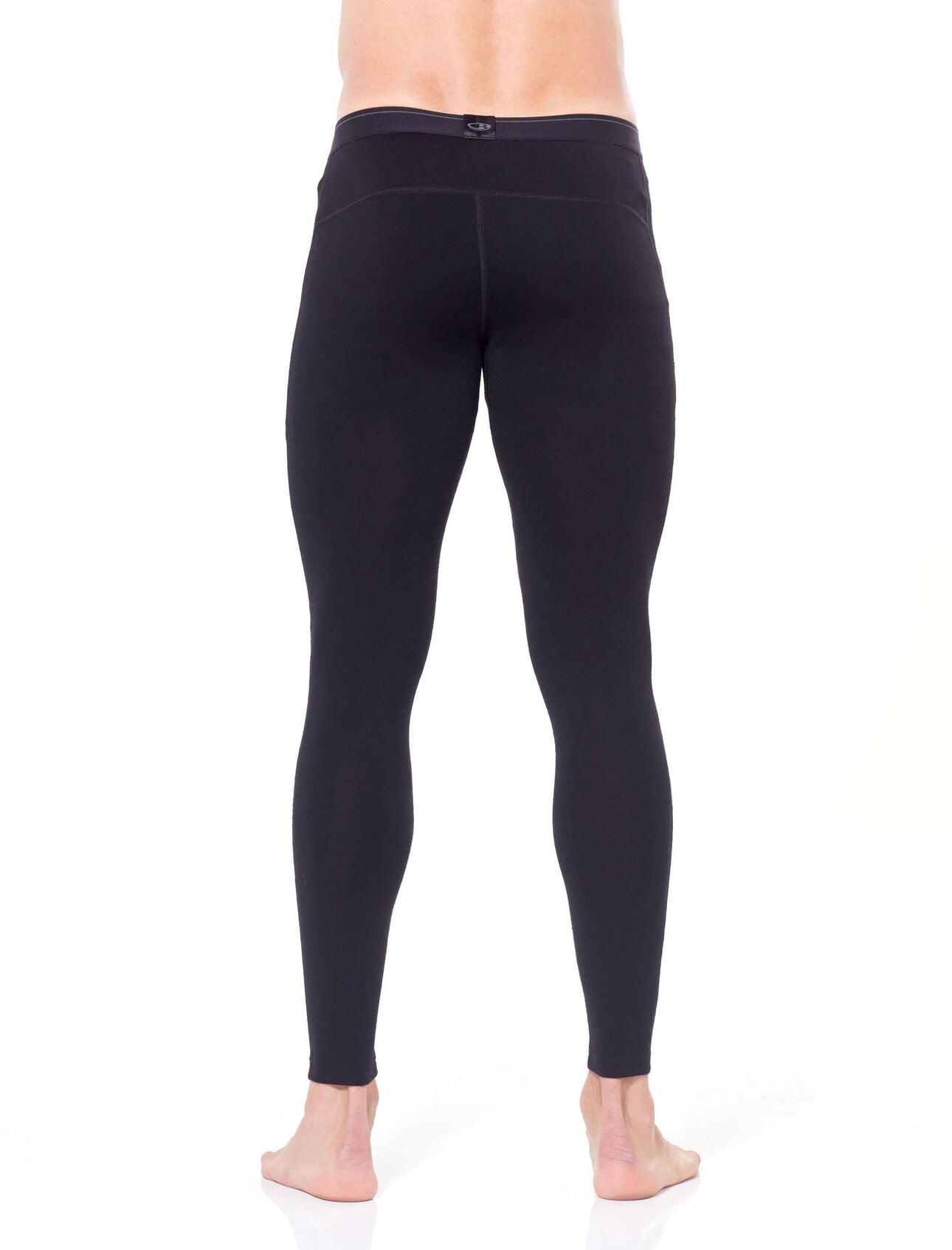 Icebreaker Men's 260 Tech Leggings Back