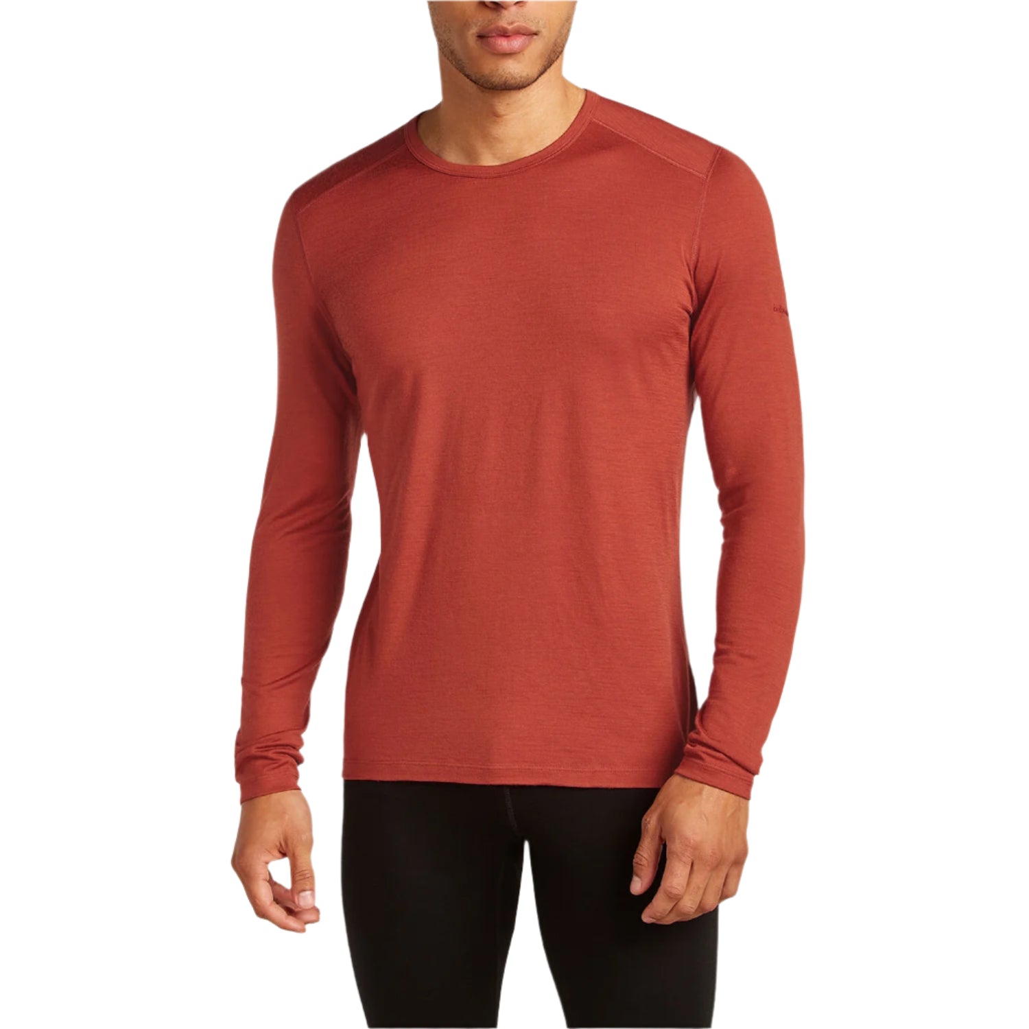 Front of Icebreaker Men's Merino 200 Oasis Long Sleeve Crewe in Jasper