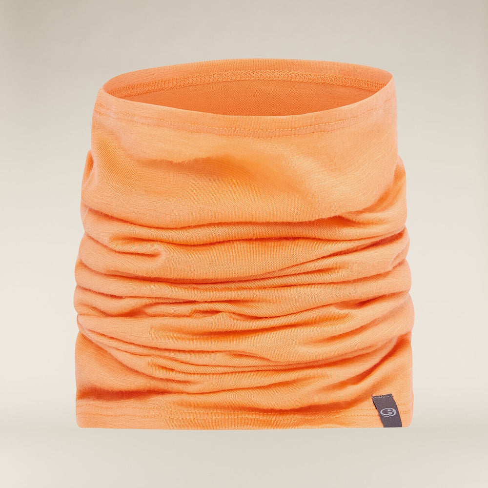 Icebreaker Merino 200 Oasis Flexi Chute