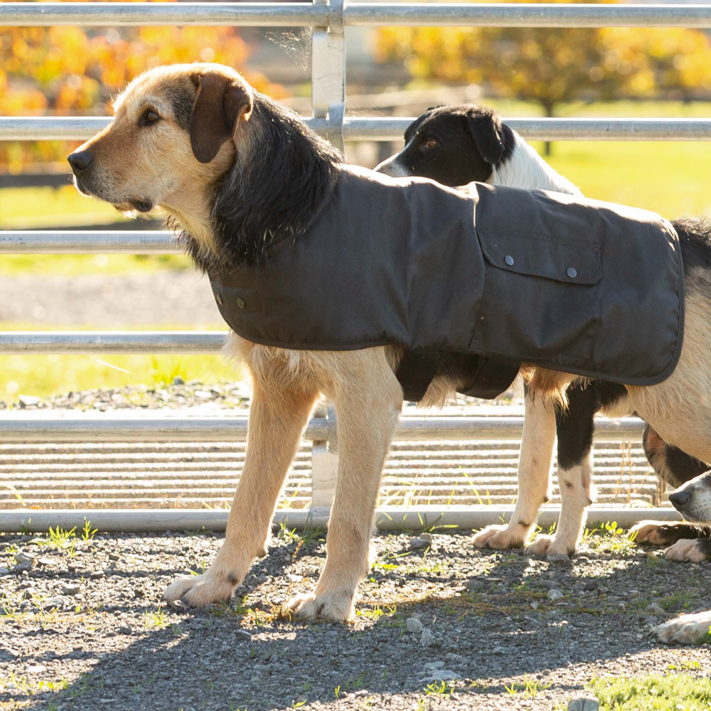 Side view of dog wearing Styx Mill Oilskin Brown Lined Dog Coat