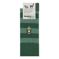 Green stripe sock