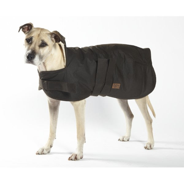 Burke and Wills Oilskin Dog Coat Brown on Dog