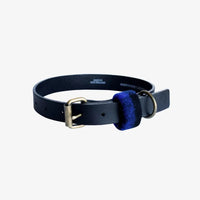 Swanndri Elmwood Leather Dog Collar in Blue/Black