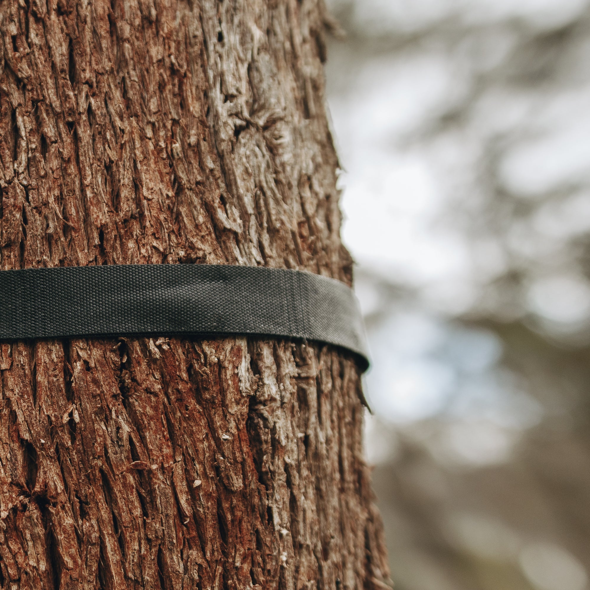 Alton Goods Ultralight Strap around tree