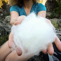WonderWool in hands