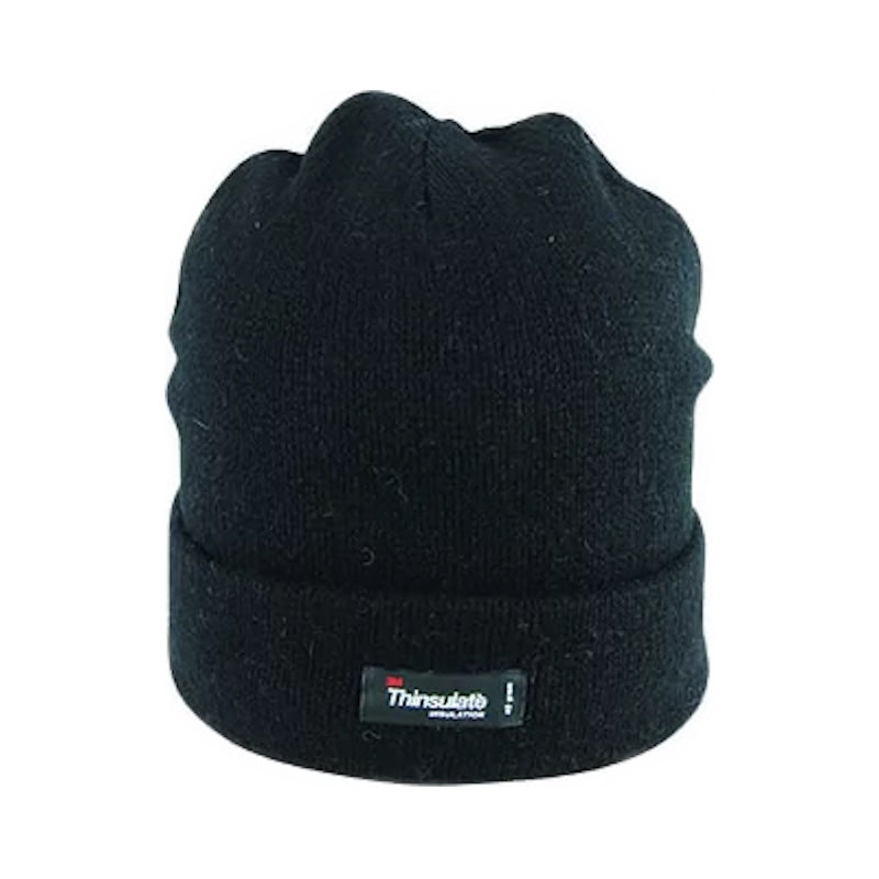 Avenel Ragg Wool Beanie With Thinsulate Lining in Black