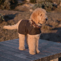 Driza-Bone Apsley Oilskin Dog Coat