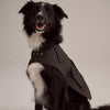 Driza-Bone Apsley Oilskin Dog Coat