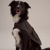 Driza-Bone Apsley Oilskin Dog Coat
