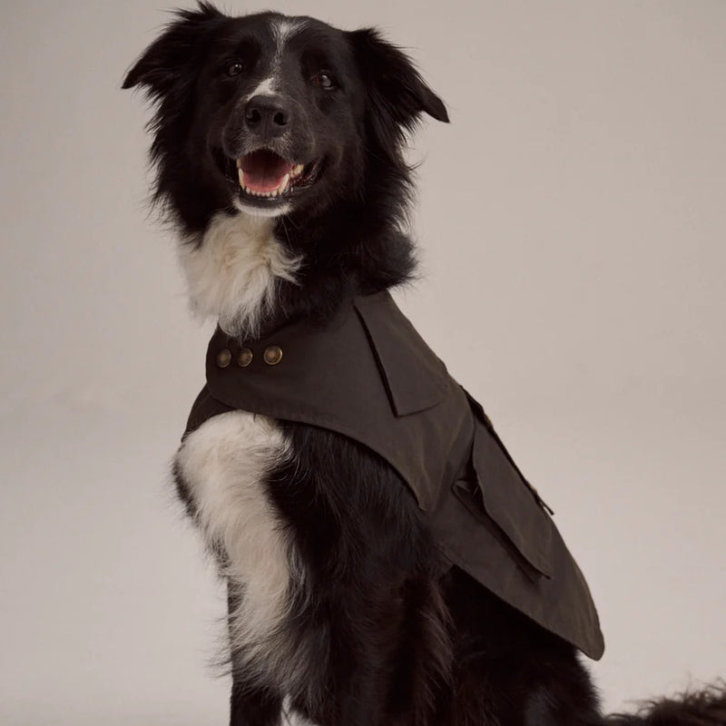 Driza-Bone Apsley Oilskin Dog Coat