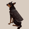 Driza-Bone Ashfield Sherpa Dog Coat