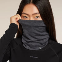 Icebreaker Merino 260 Tech Chute