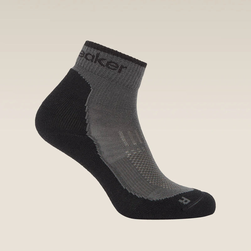 Icebreaker Womens Merino Hike+ Light Mini Socks