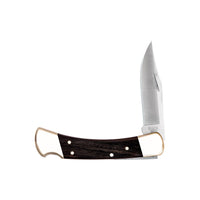 Buck 110 Folding Hunter Clip Point Knife