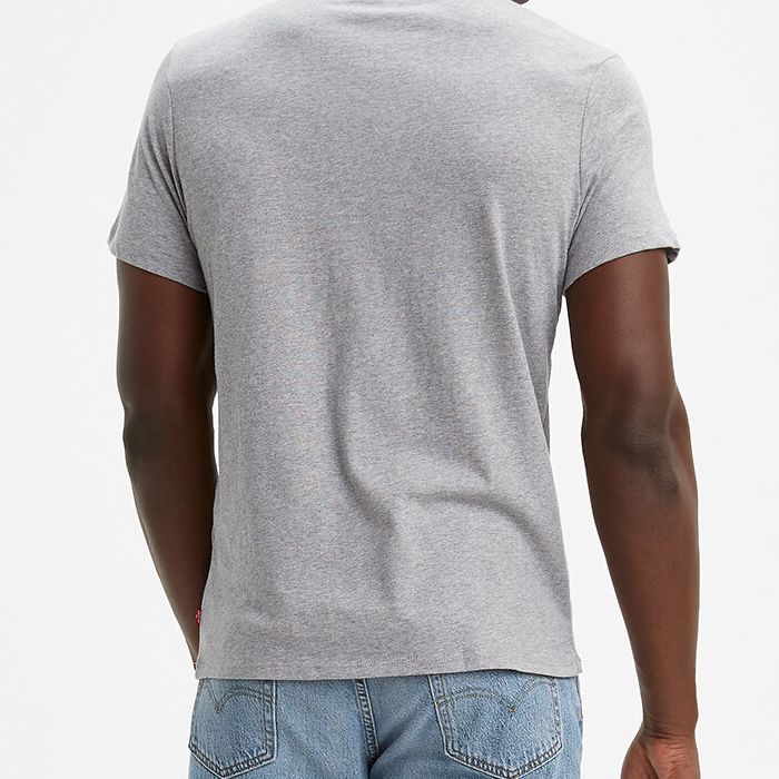 Back view of Levi's Graphic Set-In Neck Batwing Tee in Grey