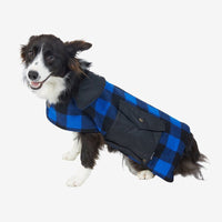Dog modelling a Swanndri Classic Fleece Lined Wool Dog Coat in Blue & Black Check