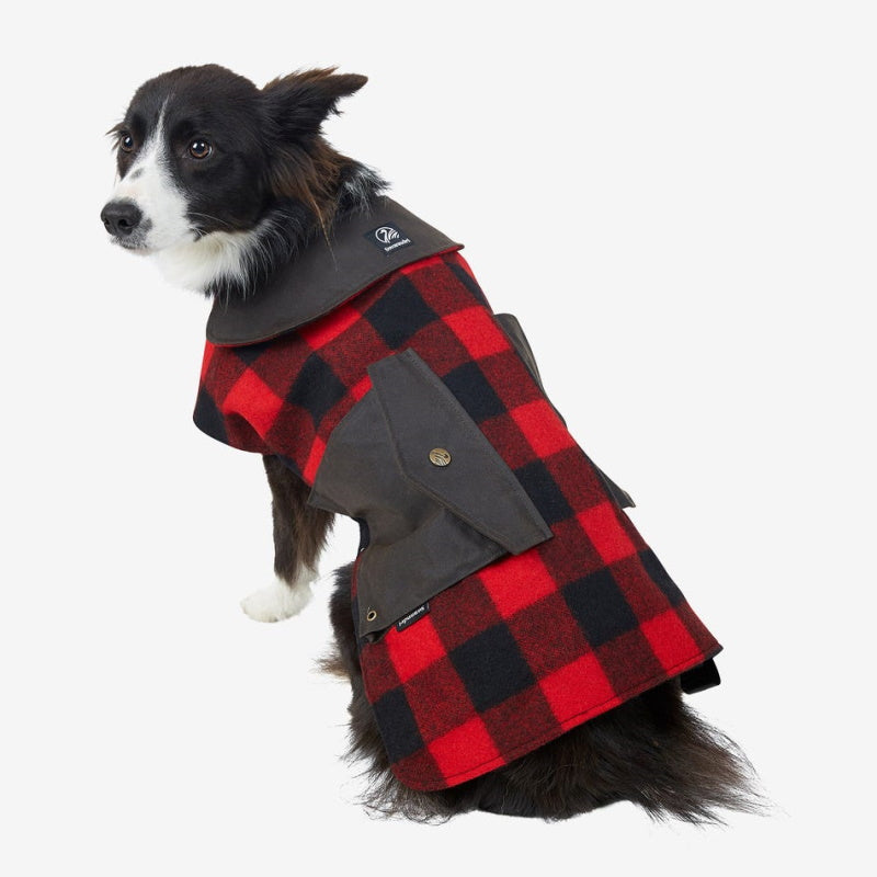 Dog modelling a Swanndri Classic Fleece Lined Wool Dog Coat in Red & Black Check